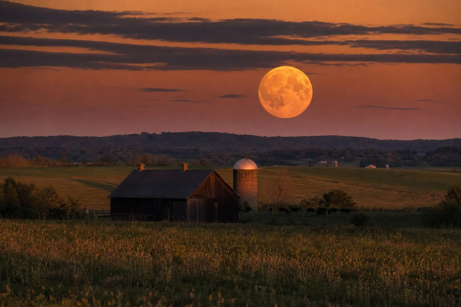An orange full moon low over farmland at dusk