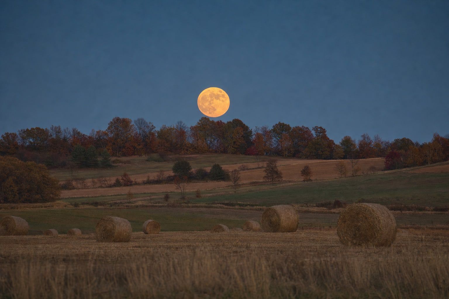 Full moon rising over harvested autumn fields at dusk