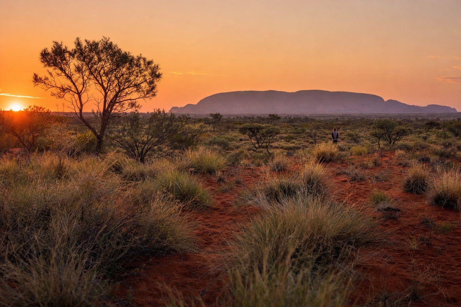 Sunrise over the red desert of central Australia